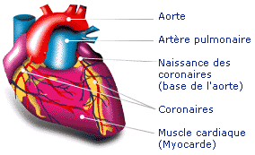 coeur