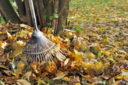 Recycler les feuilles mortes