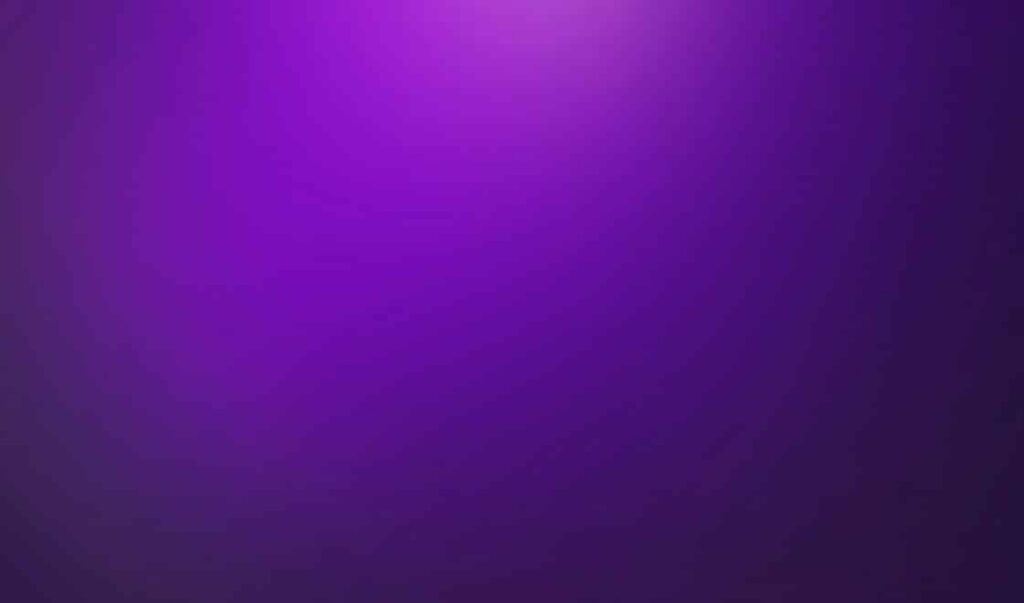 couleur-violet