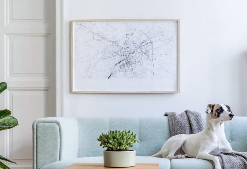 Tableau-sur-mur-blanc-et-chien-sur-le-canape