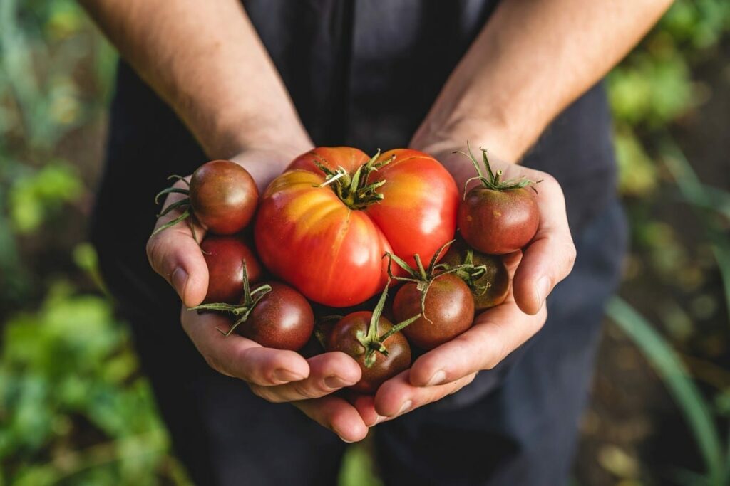 Lycopene