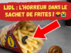 Insolite : Des limaces vivantes découvertes dans un sachet de frites Lidl